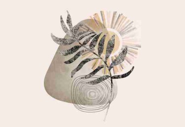 抖音成人版专题片段｜氛围感大片引爆播放热潮