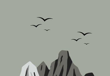 黑料网曝出热度艺人被扒整容史令人咋舌，实锤持续发酵