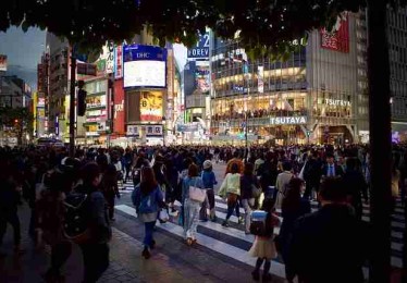 成人抖音精选内容首发｜氛围拉满引发网友热议