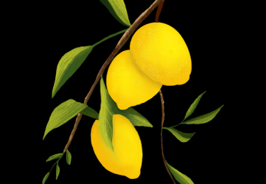 糖心Vlog深夜更新｜关于早起挑战的独处时光