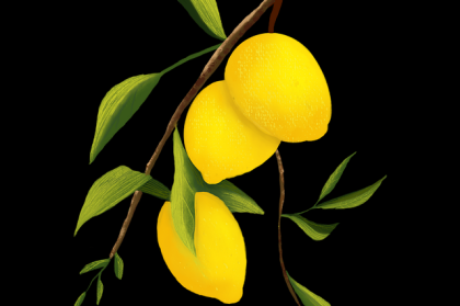 糖心Vlog深夜更新｜关于早起挑战的独处时光