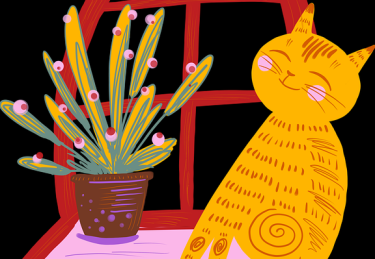 黑料网曝出某综艺选手工作室深夜发声明，删帖风波持续发酵