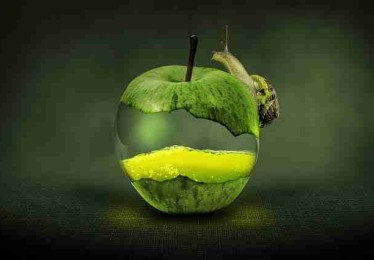 成人抖音高能更新｜恋爱实录剧情引发争议