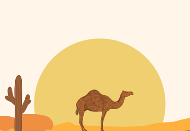 黑料网曝出偶像组合成员工作室深夜发声明，翻车现场持续发酵