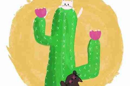 抖音成人版上线全新专题｜私房拍摄让人欲罢不能