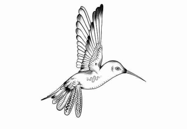 抖音成人版精选内容首发｜剧情演出引发网友热议