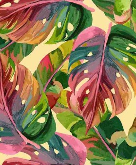 糖心vlog首发｜分享我关于创作背后的点滴