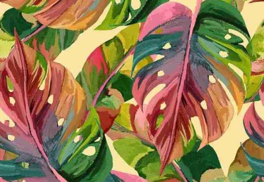 糖心vlog首发｜分享我关于创作背后的点滴