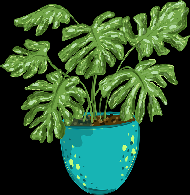 黑料网曝出新晋网红回应争议却越描越黑,实锤持续发酵