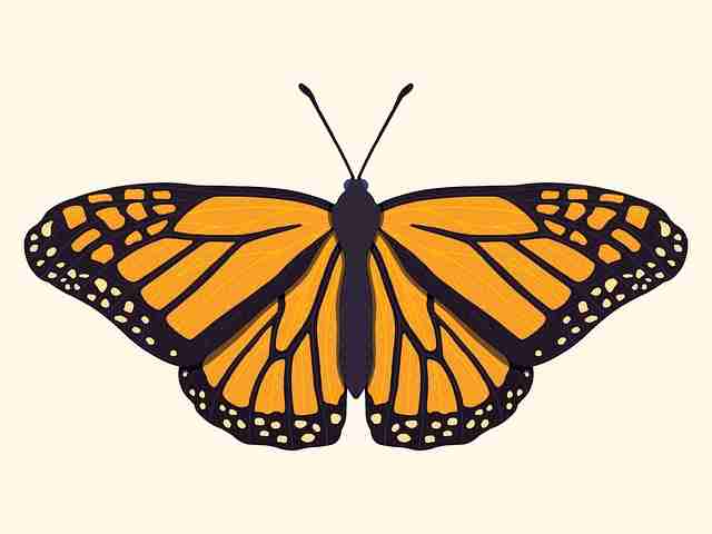 糖心vlog走心更新|我的闺蜜旅行时刻