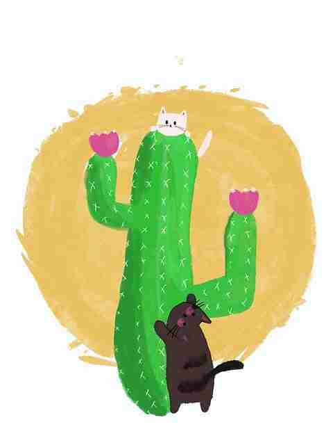 抖音成人版上线全新专题|私房拍摄让人欲罢不能