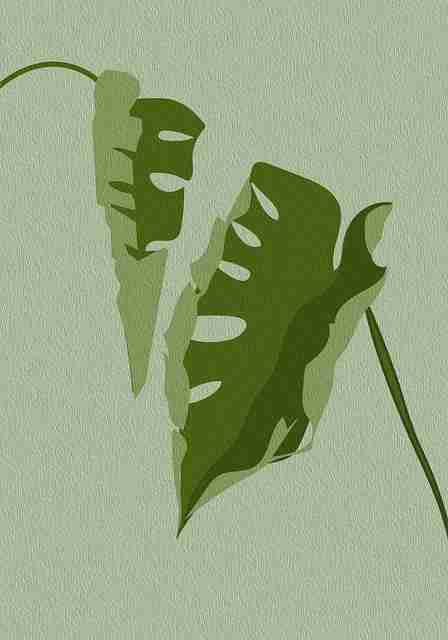 成人抖音全新上线:剧情演出合集热播中