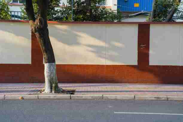 入站必看|抖音成人版打造独居日常视觉盛宴